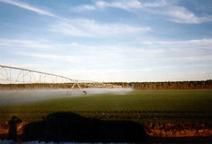 farm3