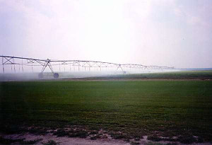 farm4