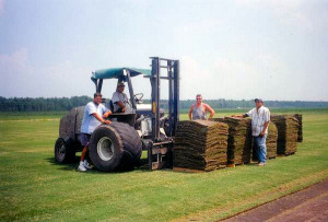 farm6