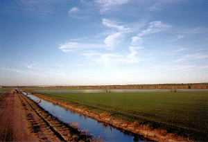 farm8