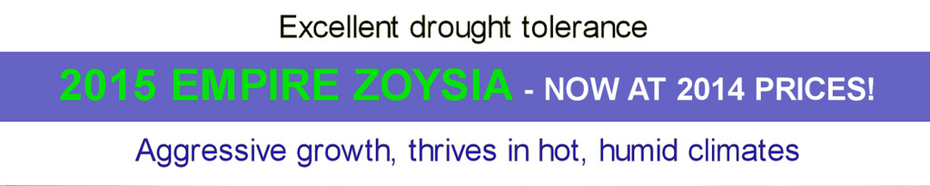 zoysia banner 3000 080315